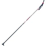 Swix Nordic Ski Poles