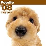 THE DOGプードル 2008年カレンダー