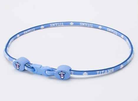 Eagles Wings Tennessee Titans Titanium Necklace