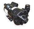 Dayton 2ZXK2 Centrifugal Pump, 3 HP, 1Ph, 230V