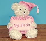 Big Sister Teddy Bear Holding Pillow Adorable Gift For The New Baby's Big Sister