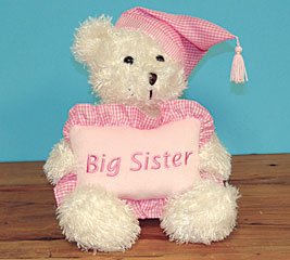 31kbc0zU%2BxL Big Sister Teddy Bear Holding Pillow Adorable Gift For The New Babys Big Sister