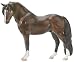 Welsh Pony - Cefnoakpark Bouncer