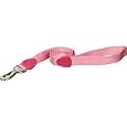 Aspen Pet Signature Series 1-Inch by 6-Foot Pet Leash, Hot Pink