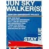 JUN SKY WALKER(S) 20th ANNIVERSARY NEW&LAST DVD STAY BLUE~ALL ABOUT 20th ANNIVERSARY~