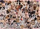 Dogs Galore 1,000-pc. Puzzle