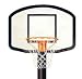 Basketball Hoop - Huge Boys Room Wall Accent Mural