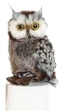Owl Plush, 9 Inches (Barney Gray Barn Owl From Aurora World)