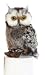 Owl Plush, 9 Inches (Barney Gray Barn Owl From Aurora World)