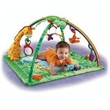 Rainforest Melodies & Lights Deluxe Gym Multi 