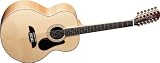 Alvarez AJ60S12 Artist Series Jumbo 12 String Acoustic Guitar, Natural*
