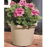 Akro-mils Classic Flower Pot Tan 10 Inch Pack Of 12 - 12010SANDS