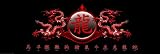 Empire 170194 Chinese Writing - Zodiac - Dragon Crest, Türposter / XXL Poster ca. 158 x 53 cm