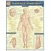 Surface Anatomy (Quickstudy: Academic)