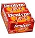 Dentyne Fire Spicy Cinnamon 9 x 16