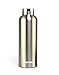 TOPOKO 25 oz Stainless Steel Vacuum Insulated Water Bottle, Keeps Drink Cold up to 24 Hours & Hot up to 12 Hours, Leak Proof and Sweat Proof. Large Capacity Sports Bottle (Silver)