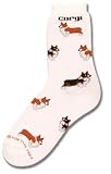 Corgi Poses Socks