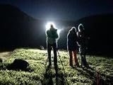Trick of the Light