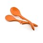 Rachael Ray Nylon Tools Lazy Spoon and Lazy Ladle 2-Piece Set, Orange
