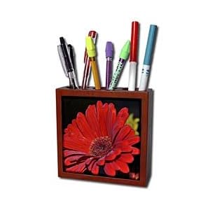 WhiteOak Photography Floral Prints - Bright Red garden gerbera daisy - Tile Pen Holders-5 inch tile pen holder