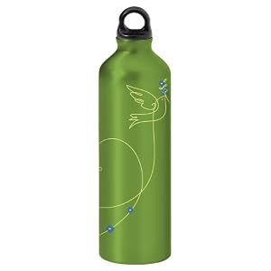 Click here to buy Gaiam 750ml Aluminum Water Bottle (Love Bird, Poly Loop Cap).