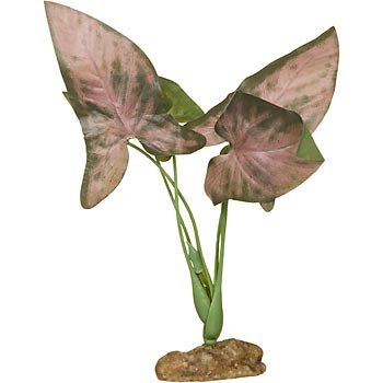 PETCO Silk Syngonium Foreground Aquarium Plant