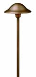 Essence Small Olde Copper Path Light (Low Voltage) Hinkley (1401OC)