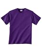 Hanes - 5.5 oz., 50/50 T-Shirt >> M,PURPLE