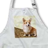 Dogs Corgi - Pembroke Welsh Corgi - Aprons