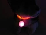 Pet Leso Puppy Cats LED Lights Doggie Pets Flashing Dog Tag -Pink
