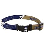 Milwaukee Brewers large pet dog sports collar 40+ lb dogs