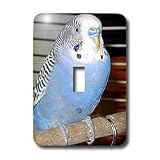 Birds - Blue Parakeet - Light Switch Covers - single toggle switch