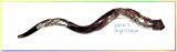 Amazing Silver-plated 43 Yemenite Shofar Kudu Judaica