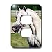 Horse - Head of Arab Horse - Light Switch Covers - 2 plug outlet cover Image