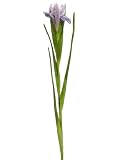 Club Pack of 12 Artificial Lavender Purple Dutch Iris Silk Flower Sprays 24.5