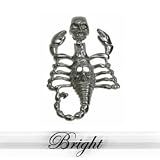 316L Stainless Steel Pendant Stainless Steel Pendant with scorpion casting.Width of Charm: 12mm Length of Charm: 85.5mm
