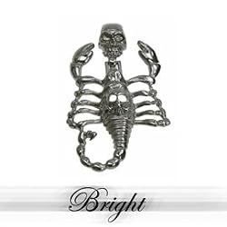 316L Stainless Steel Pendant Stainless Steel Pendant with scorpion casting.Width of Charm: 12mm Length of Charm: 85.5mm