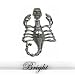 316L Stainless Steel Pendant Stainless Steel Pendant with scorpion casting.Width of Charm: 12mm Length of Charm: 85.5mm