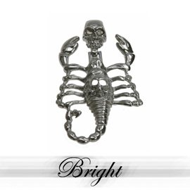 Click here to buy 316L Stainless Steel Pendant Stainless Steel Pendant with scorpion casting.Width of Charm: 12mm... by ToltecTraders.com.