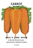 30 x 20 Stretched Canvas Poster Carrot: Red Cored