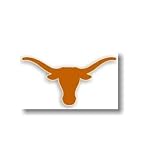 University of Texas Longhorns - Auto Magnet - Bevo