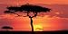 Masai Mara Plains, Kenya - James Urbach Art Print Poster 39.5 x