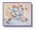 Gourmet Food : Butterscotch Salt Water Taffy