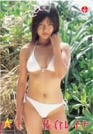 佐倉レイナ Saita