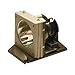 Optoma projector lamp ( SP80N01001 )