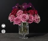 Flowers - Royale