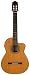 Antonio Aparicio AA300E Classical Guitar, CD/IN