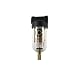 Coilhose Pneumatics MF2 Miniature Series Filter, 1/4-Inch Pipe Size