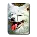 Dogs Samoyed - Samoyed - Light Switch Covers - single toggle switch