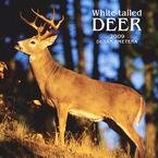 White-Tailed Deer 2009 Wall Calendar